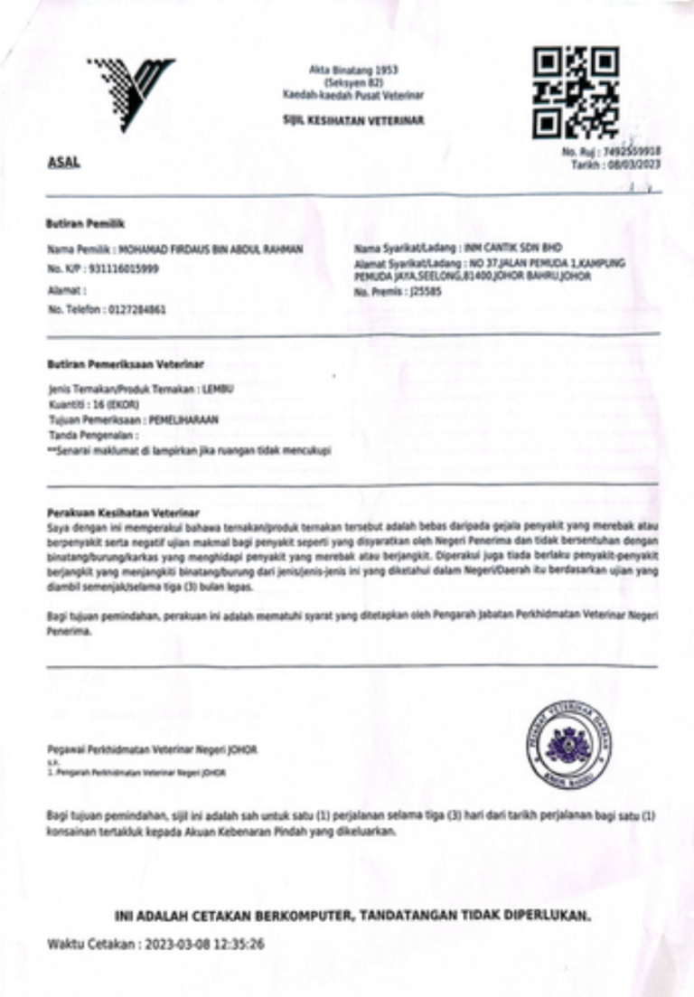 Screenshot-2024-10-21-at-2.12.38-AM-1.png